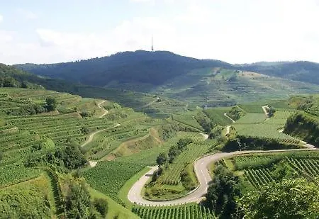 Landgasthof Zum Lamm Hotel 3*
