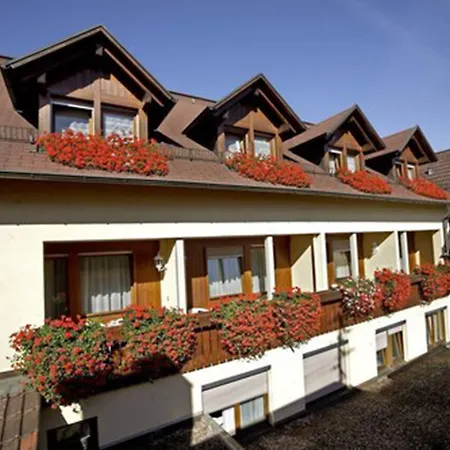 Landgasthof Zum Lamm Hotel 3*