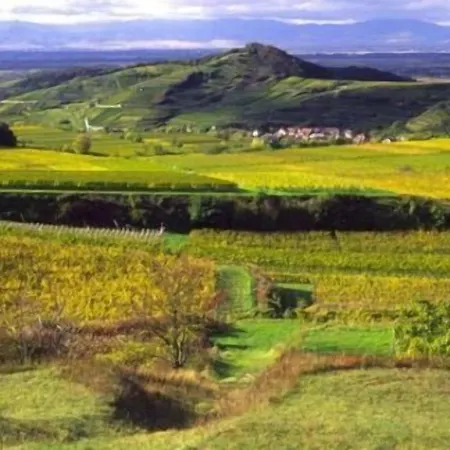 ランドガストホフ ツム ラム ホテル Bahlingen