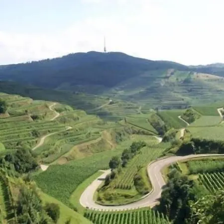 Landgasthof Zum Lamm Hotel