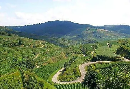 Hotel Landgasthof Zum Lamm 3*